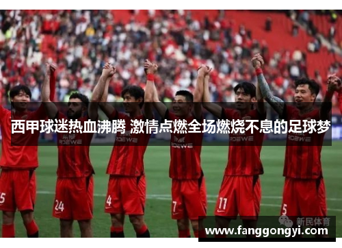 西甲球迷热血沸腾 激情点燃全场燃烧不息的足球梦